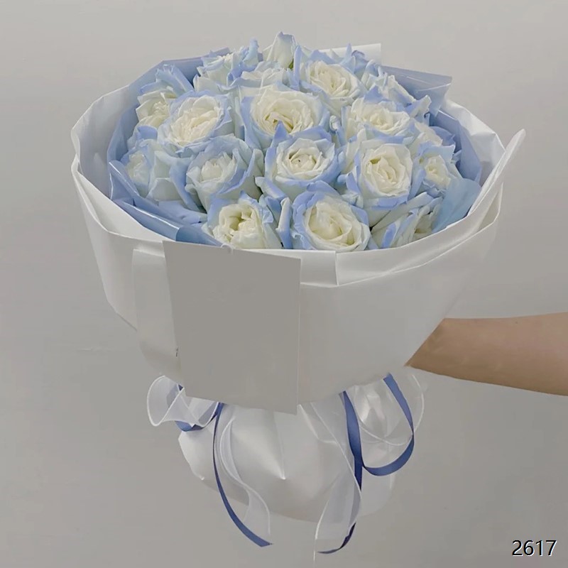不期而遇
